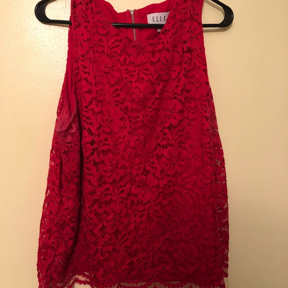 Elle beautiful lace top (fits like L)